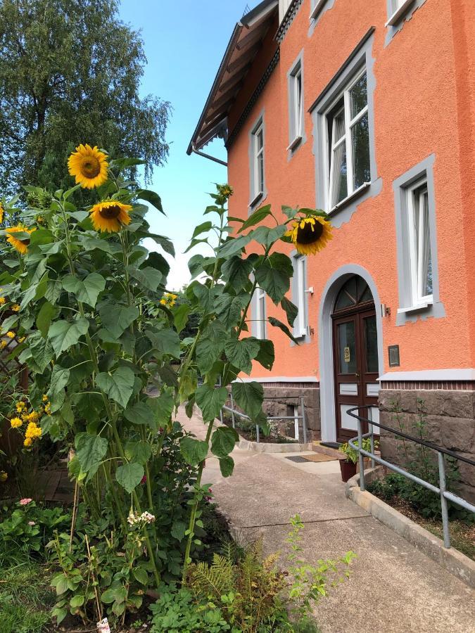 Moderne Ferienwohnung In Alter Villa Georgenthal  Kültér fotó